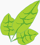 Leaves.gif (2724 bytes)